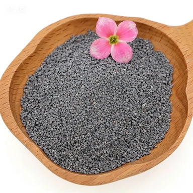 Apa Itu Kotoran Kucing Mineral?